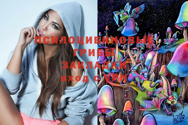 Альфа ПВП Балахна